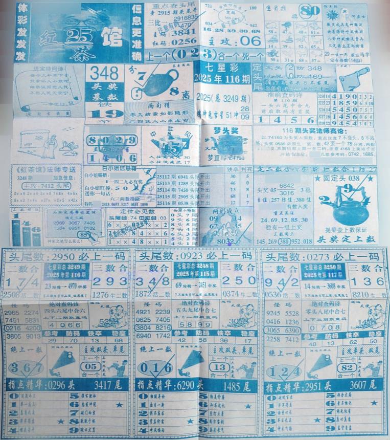 ���� (2).jpg