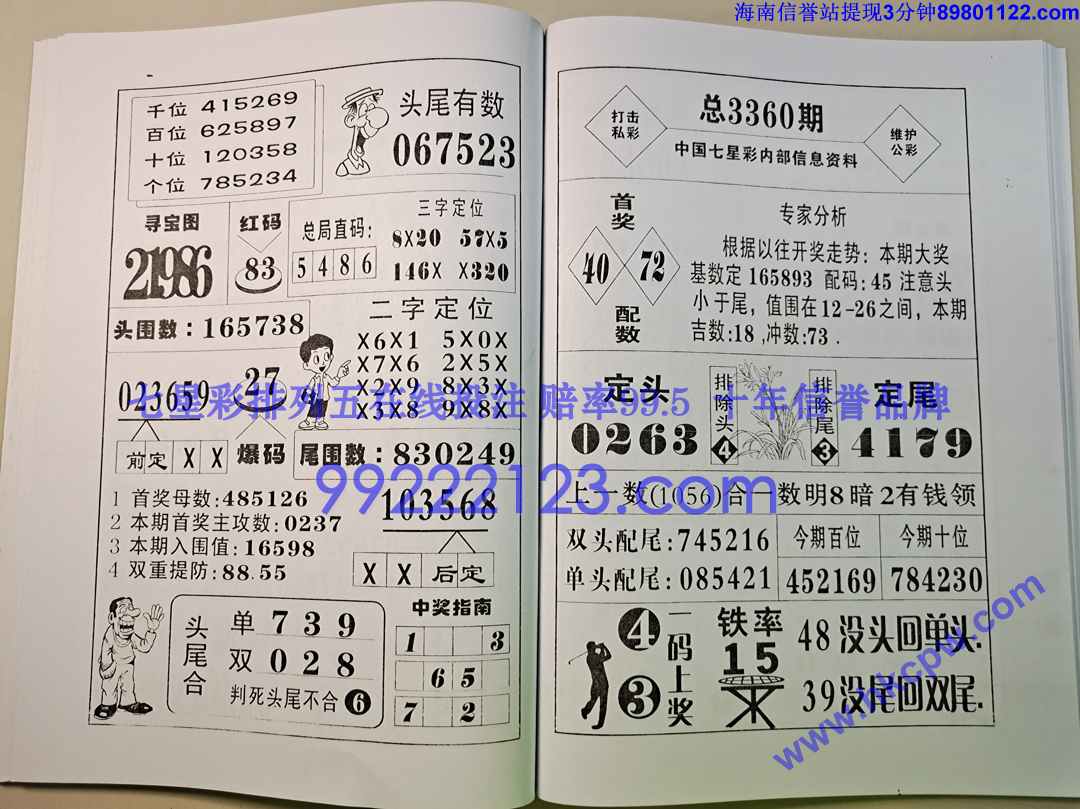 ������ (41).jpg